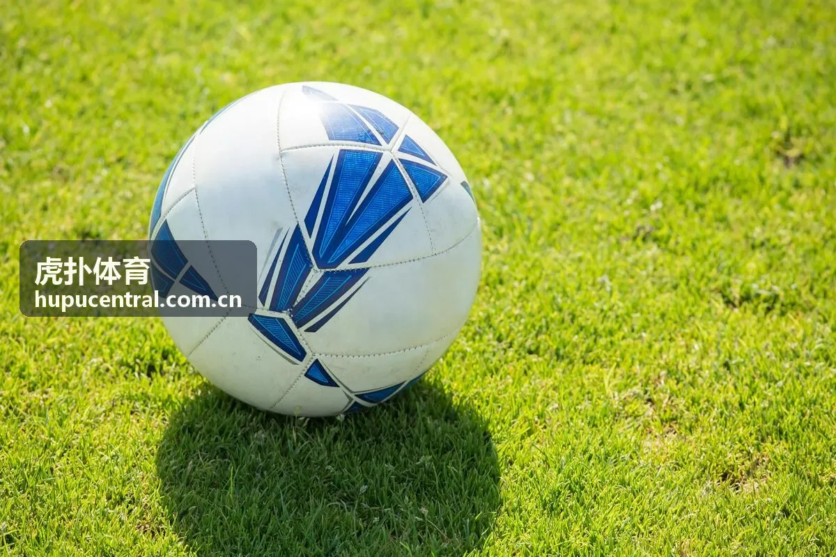 球迷讨论场景